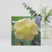 Engels-Trompete-goldene gelbe Blume Einladung (Stehend Vorderseite)