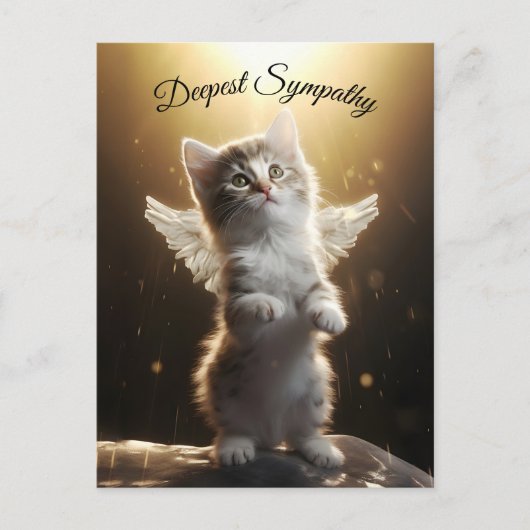 Engelskatze Postkarte (Vorderseite)