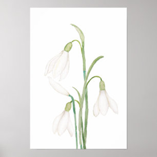 Engelsnowdrop Blume Aquarell Poster