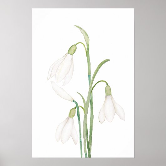 Engelsnowdrop Blume Aquarell Poster (Vorne)