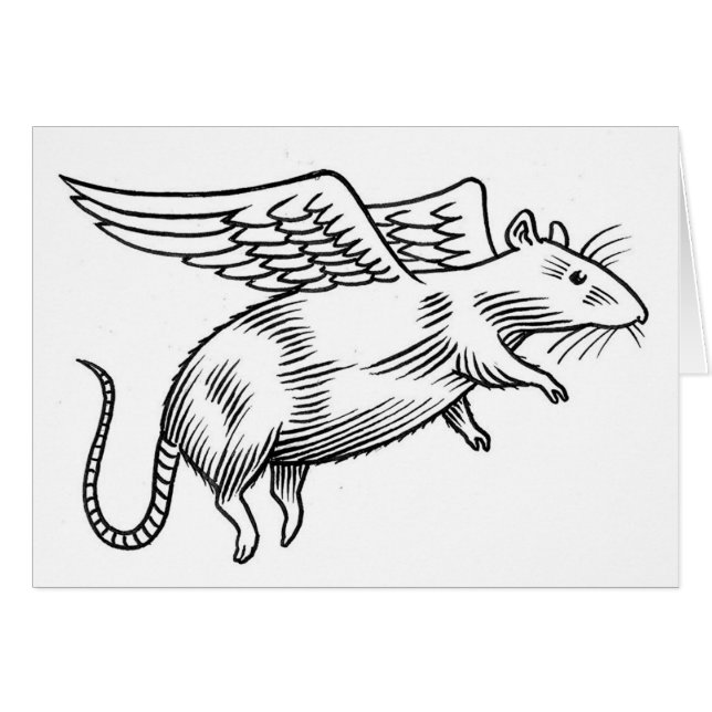 Engelsratte (Vorderseite (Horizontal))