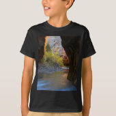 Engen in Zion Nationalpark T-Shirt (Vorderseite)
