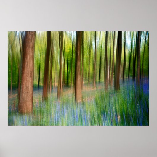 England | Bluebell Oak Woodland im Springtime Poster (Vorne)