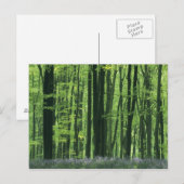 England, Buchenwald und Bluebells Postkarte (Vorne/Hinten)