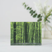 England, Buchenwald und Bluebells Postkarte (Stehend Vorderseite)