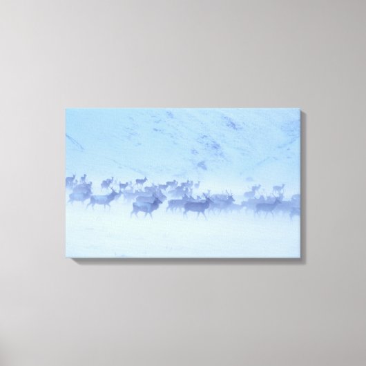 England Leinwanddruck (Vorderseite)