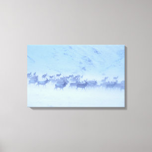 England Leinwanddruck