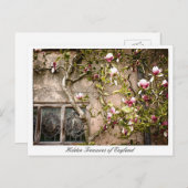 England, Magnolien-Blume, Großbritannien Postkarte (Vorne/Hinten)