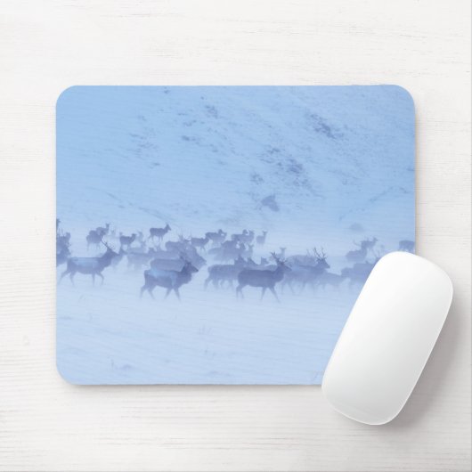 England Mousepad (Mit Mouse)