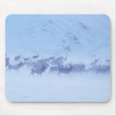 England Mousepad (Vorne)