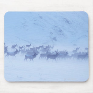 England Mousepad