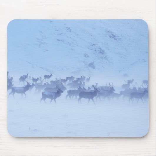England Mousepad (Vorne)