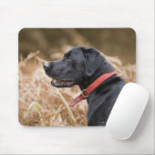 England, Suffolk, Thetford Forest, Black 3 Mousepad (Mit Mouse)
