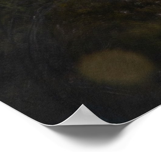 Engländer Falls British Columbia Poster (Ecke)