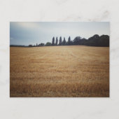 Englands Landschaft Postkarte (Vorderseite)