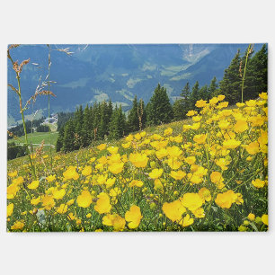 Engleburg Schweiz Alpen Souvenir Magnet