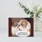 Englisch Bulldog Achtung! Postkarte (Stehend Vorderseite)