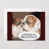 Englisch Bulldog Achtung! Postkarte (Vorne/Hinten)