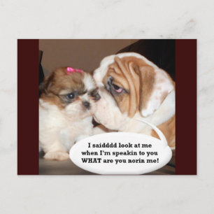 Englisch Bulldog Achtung! Postkarte