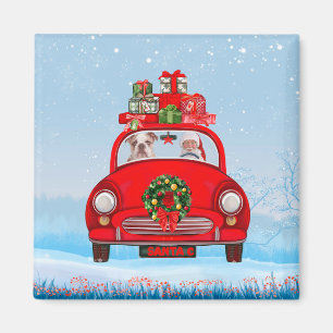 Englisch Bulldog in Car mit dem Weihnachtsmann Magnet