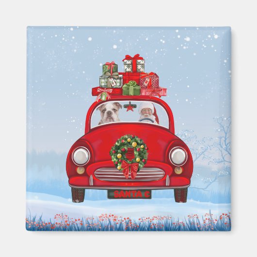 Englisch Bulldog in Car mit dem Weihnachtsmann Magnet (Vorne)