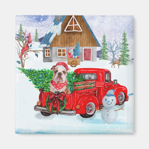 Englisch Bulldog in Christmas Delivery LKW Schnee Magnet
