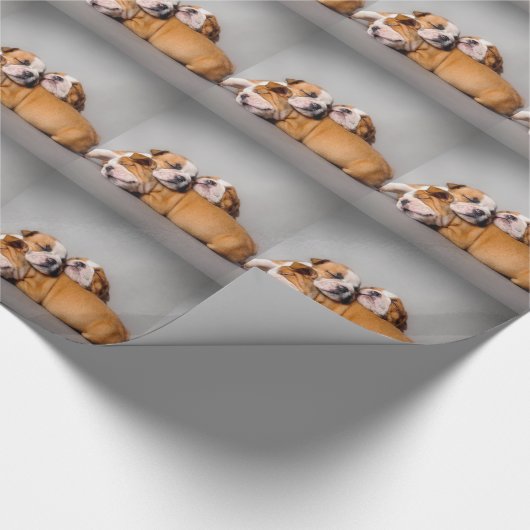 Englisch-Bulldog schlafen Geschenkpapier (Ecke)