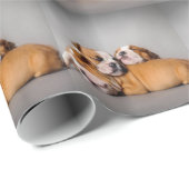 Englisch-Bulldog schlafen Geschenkpapier (Rolleneckpunkt)