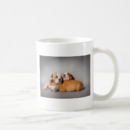 Englisch-Bulldog schlafen Kaffeetasse