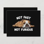 Englisch Bulldog schlafen nicht schnell, nicht wüt (Vorne/Hinten)