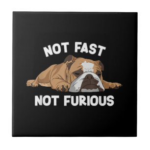 Englisch Bulldog schlafen nicht schnell, nicht wüt Fliese