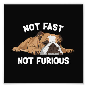 Englisch Bulldog schlafen nicht schnell, nicht wüt Fotodruck