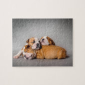Englisch-Bulldog schlafen Puzzle (Horizontal)