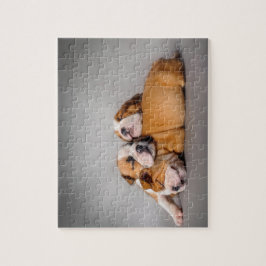 Englisch-Bulldog schlafen Puzzle