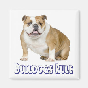 Englisch Bulldog Welpen Hundeliebe Magnet