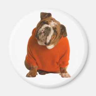Englisch Bulldog Welpenliebe Magnet