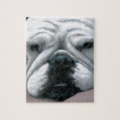 Englisch-Bulldogge des Hund118 Puzzle (Vertikal)