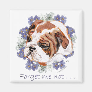 Englisch Bulldogge Erinnerungsmagnet Magnet