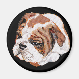 Englisch Bulldogge Welpe Magnet