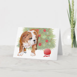 Englisch Bulldogge Welpe Weihnachten
