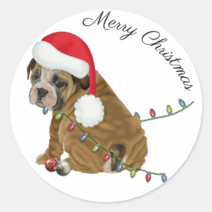 Englisch Bulldoggen-Welpe Weihnachten Runder Aufkleber