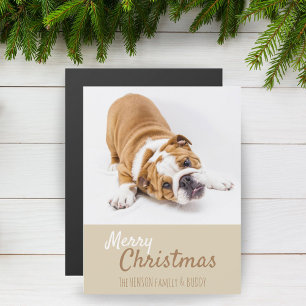 Englisch Bulldoggen-Welpen-Foto-Weihnachts-Magnetk Magnetkarte