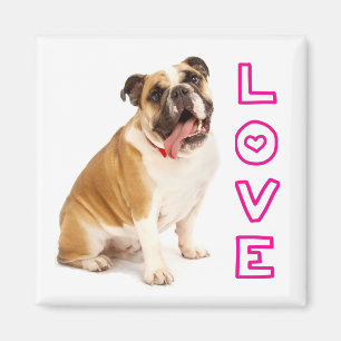 Englisch Bulldoggen-Welpen-Hund-Liebe-Magnet Magnet