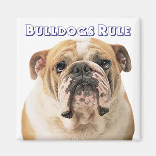 Englisch Bulldoggen-Welpen-Hund-Magnet Magnet