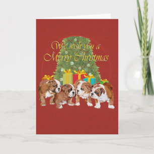 Englisch Bulldoggen-Welpen Weihnachten