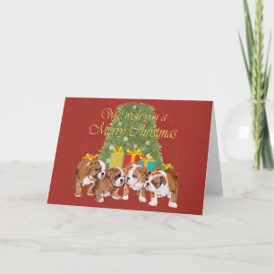 Englisch Bulldoggen-Welpen Weihnachten