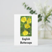 Englisch Buttercups Postcard Postkarte (Stehend Vorderseite)