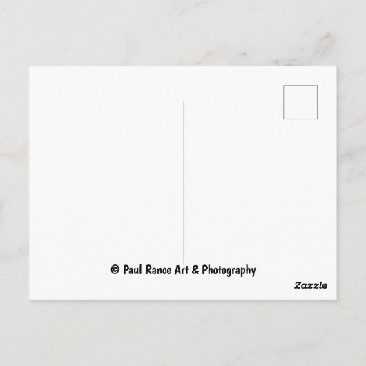 Englisch Buttercups Postcard Postkarte (Rückseite)