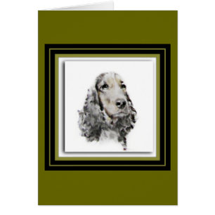 Englisch Cocker spaniel