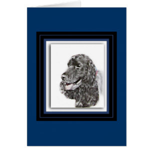 Englisch Cocker spaniel